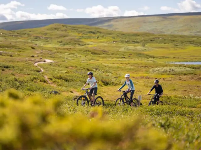 fjallfjallcykling-pa-fyra-fjall-funasdalen-tanndalen-lofsdalen-ramundberget-sweden-by-bike